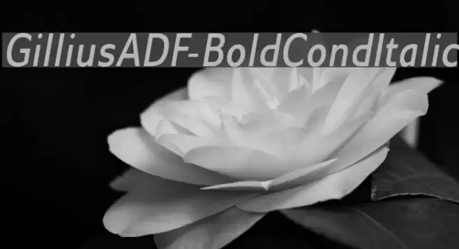 GilliusADF-BoldCondItalic examples