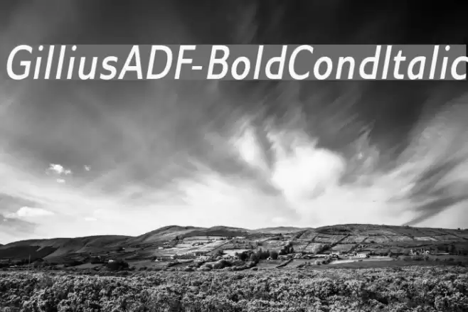 GilliusADF-BoldCondItalic examples