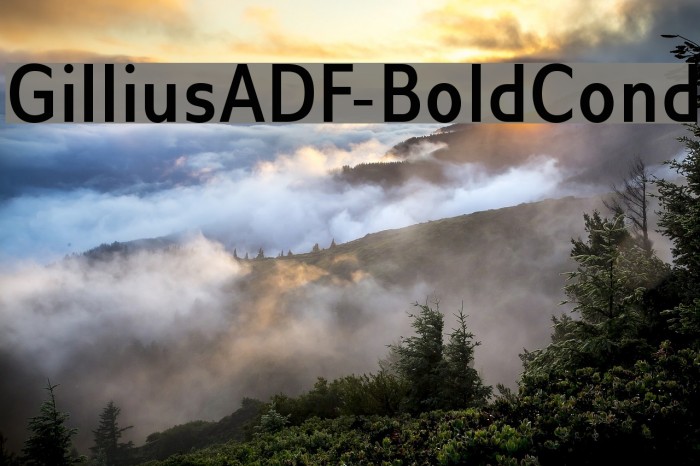 GilliusADF-BoldCond Font examples