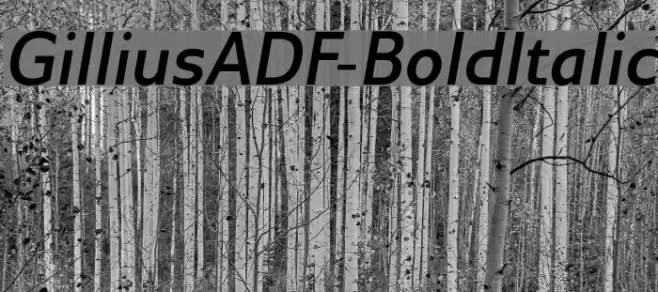 GilliusADF-BoldItalic Font examples