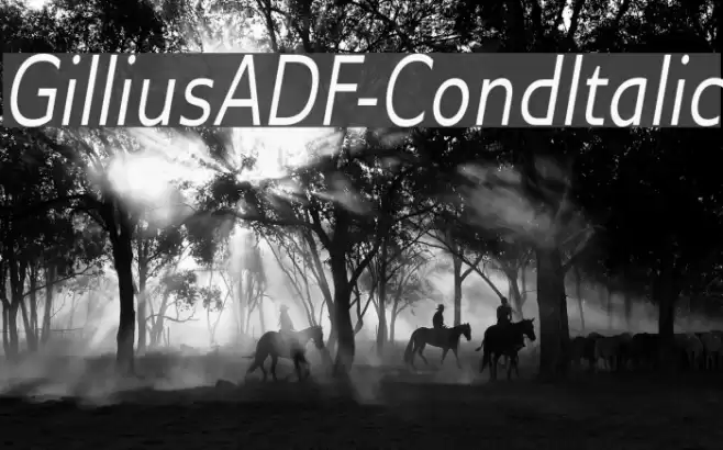 GilliusADF-CondItalic Font examples