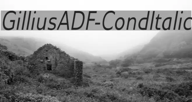 GilliusADF-CondItalic Font examples