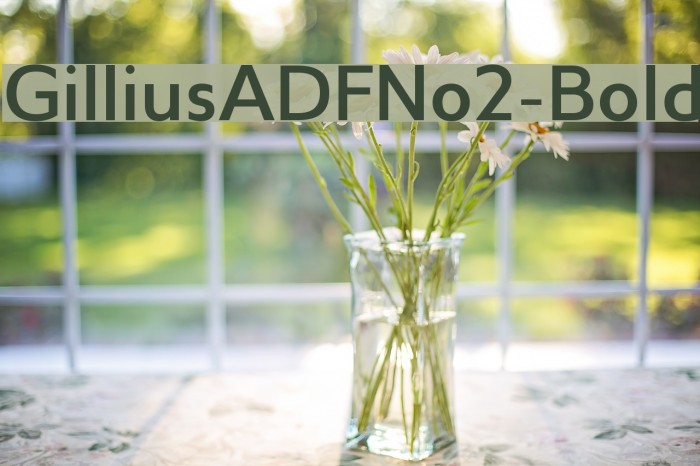 GilliusADFNo2-Bold Font examples