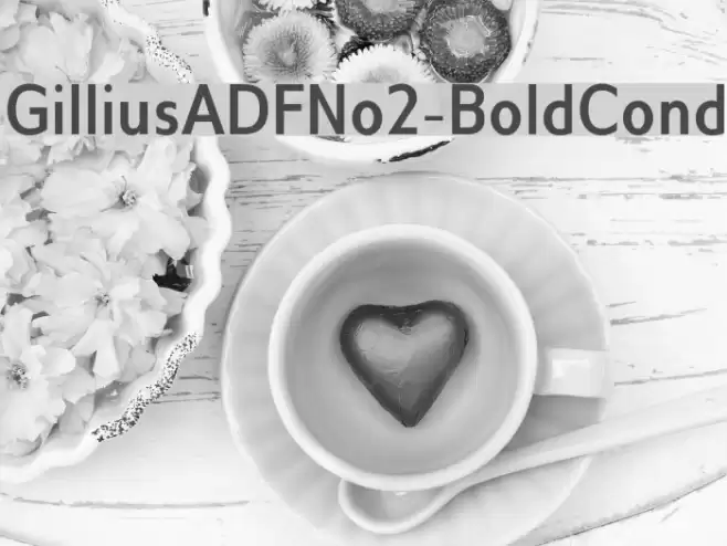 GilliusADFNo2-BoldCond Font examples