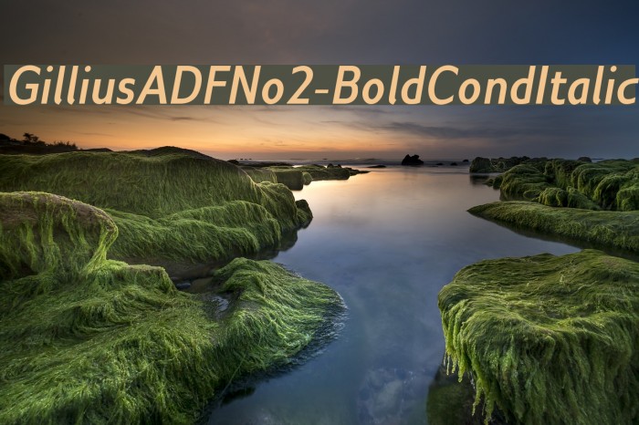 GilliusADFNo2-BoldCondItalic Font examples