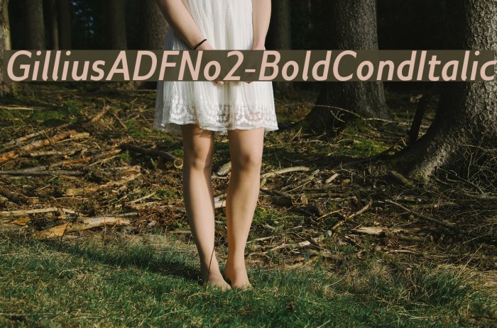 GilliusADFNo2-BoldCondItalic Font examples