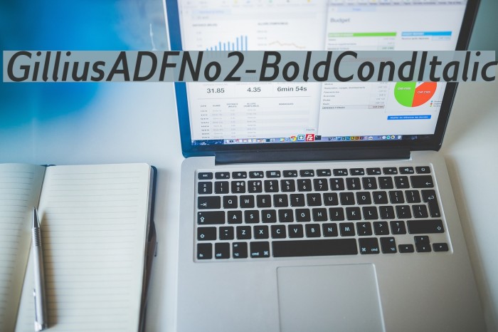 GilliusADFNo2-BoldCondItalic Font examples
