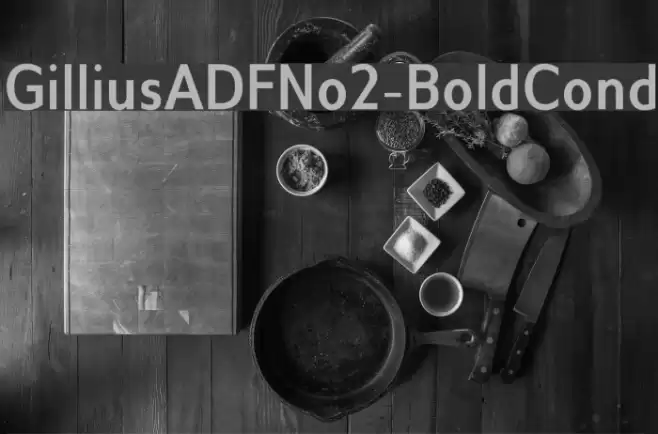 GilliusADFNo2-BoldCond Font examples