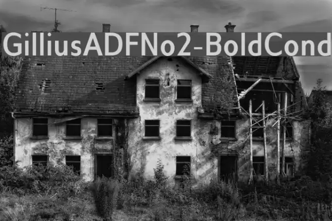 GilliusADFNo2-BoldCond Font examples