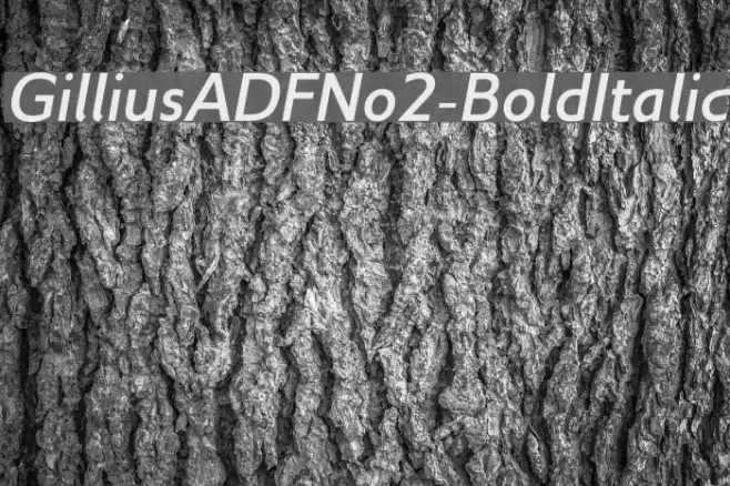 GilliusADFNo2-BoldItalic Font examples