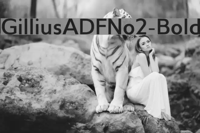 GilliusADFNo2-Bold Font examples