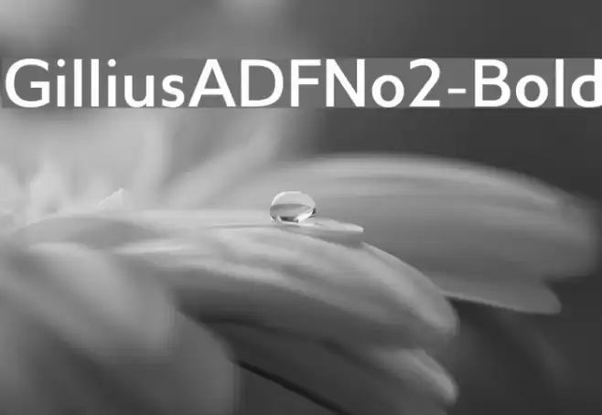 GilliusADFNo2-Bold Font examples