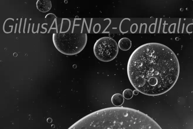 GilliusADFNo2-CondItalic Font examples