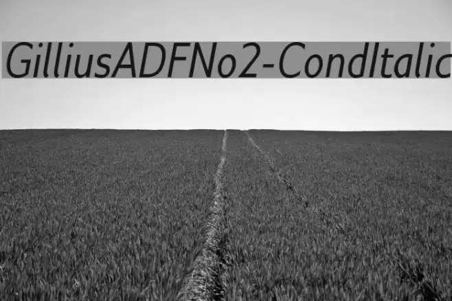 GilliusADFNo2-CondItalic Font examples