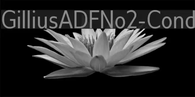 GilliusADFNo2-Cond Font examples