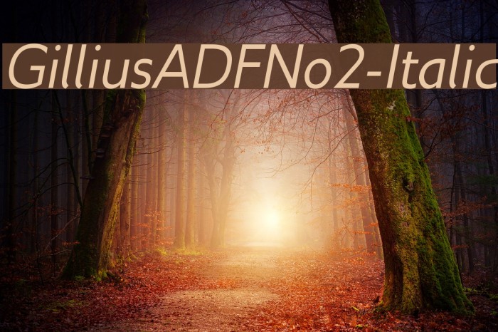 GilliusADFNo2-Italic Font examples