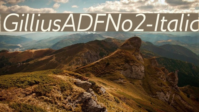 GilliusADFNo2-Italic Font examples