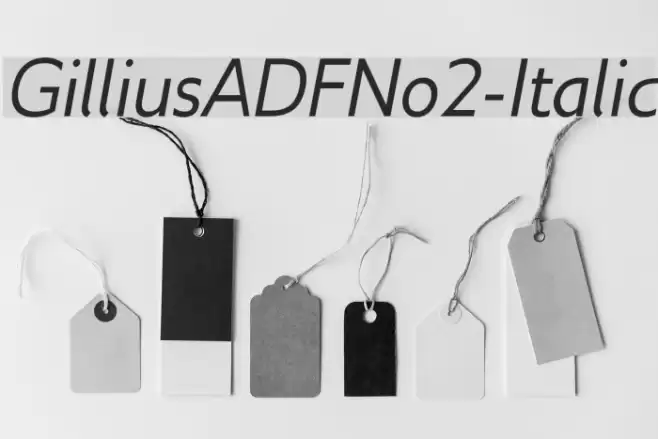 GilliusADFNo2-Italic Font examples