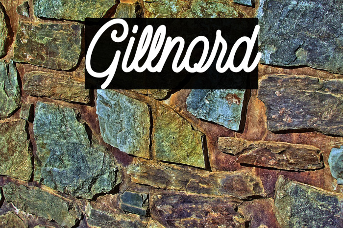 Gillnord Example 1