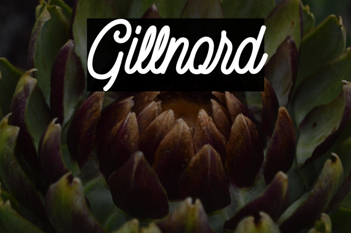 Gillnord Example 2