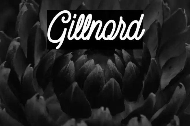 Gillnord Font examples