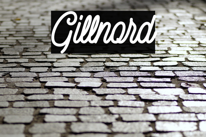 Gillnord Example 3
