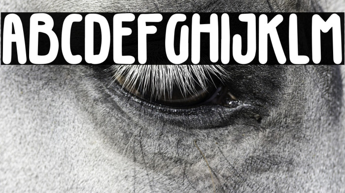 Gillphong-Regular Example 3