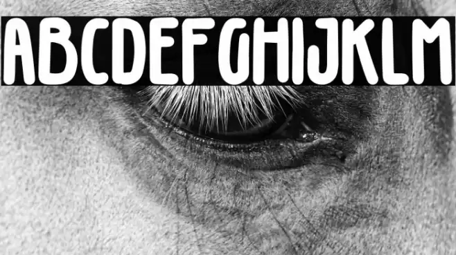 Gillphong-Regular Font examples