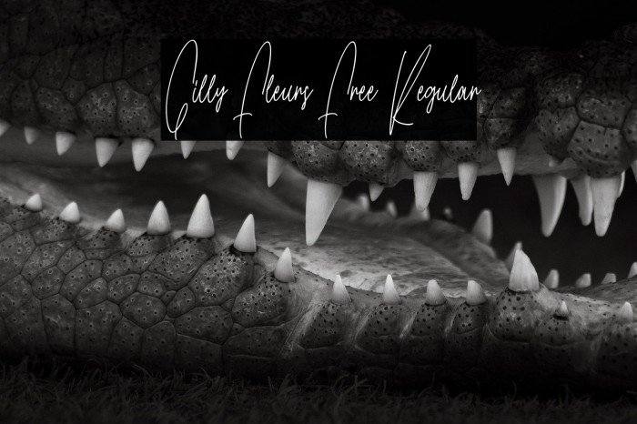 Gilly Fleurs Free Regular Example 2