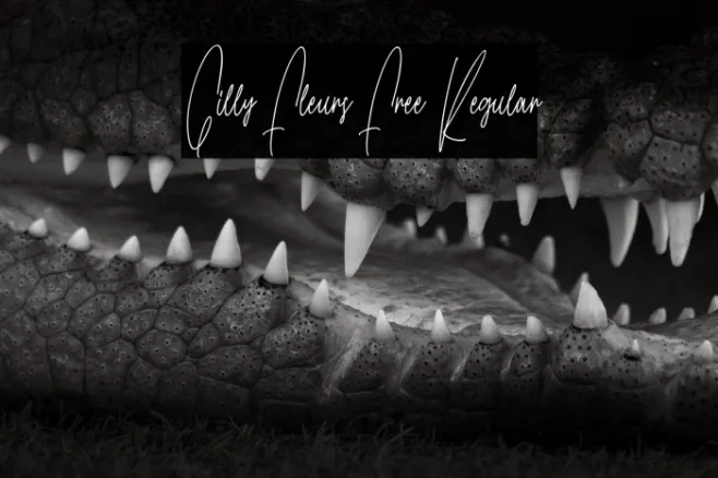 Gilly Fleurs Free Regular Example 2