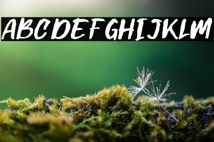 Gilmoore Rough Example 3