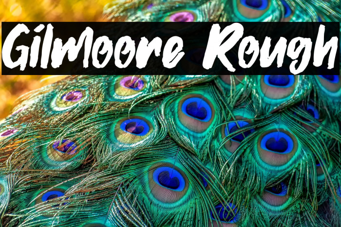 Gilmoore Rough Example 1