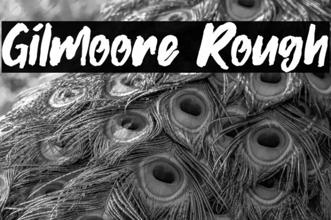 Gilmoore Rough Font examples