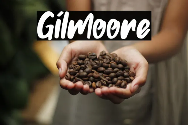 Gilmoore Example 2