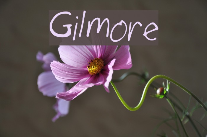Gilmore Font examples