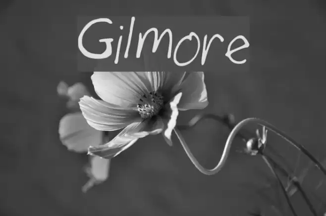 Gilmore フォント examples