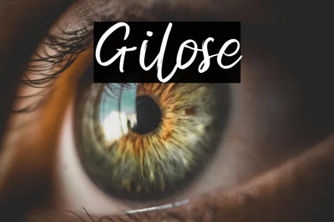 Gilose Example 1