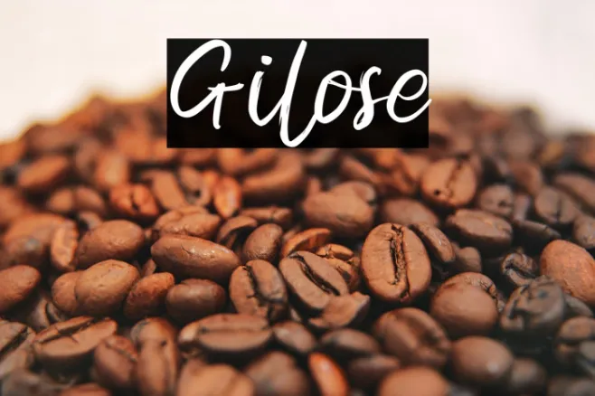 Gilose Example 3