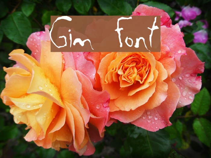 Gim Font examples