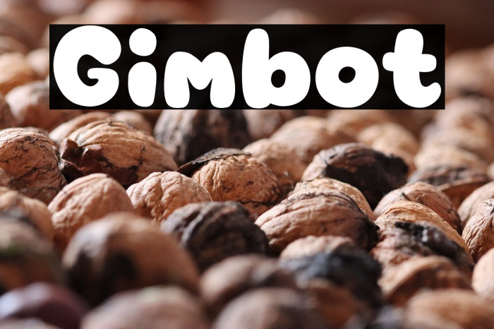 Gimbot Example 2