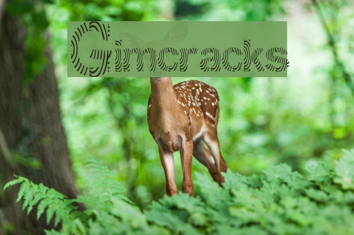 Gimcracks Font examples