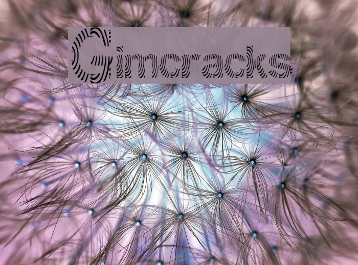 Gimcracks Font examples
