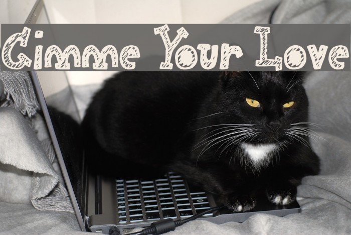 Gimme Your Love Font examples