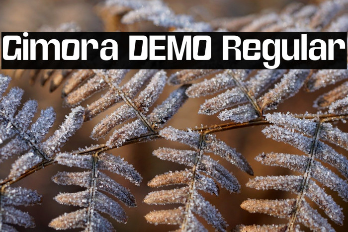 Gimora DEMO Regular Example 1