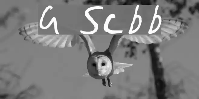 Gimp Scribble Font examples