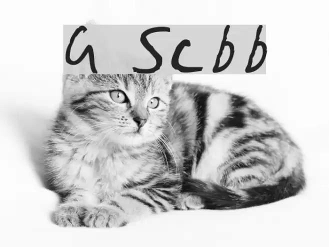 Gimp Scribble Font examples