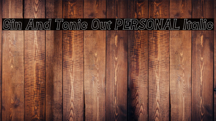 Gin And Tonic Out PERSONAL Italic Example 2
