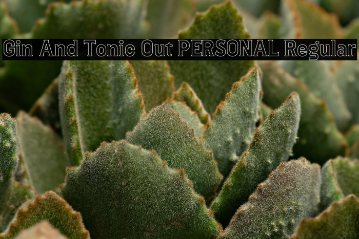 Gin And Tonic Out PERSONAL Regular Example 3