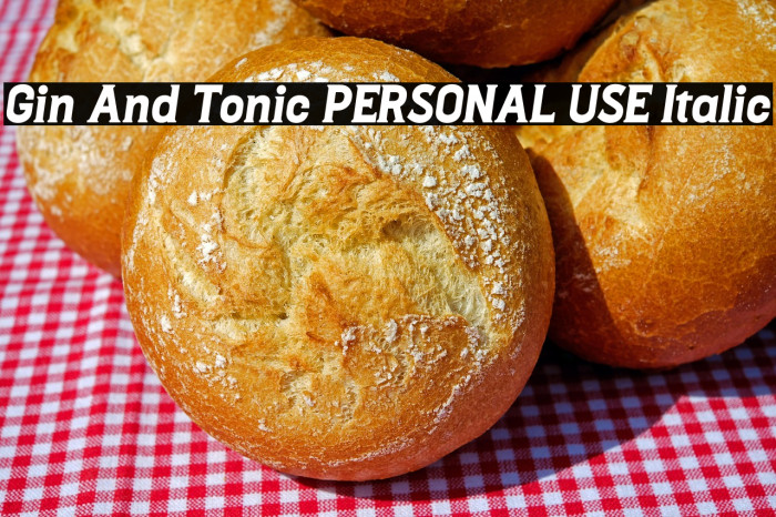 Gin And Tonic PERSONAL USE Italic Example 2