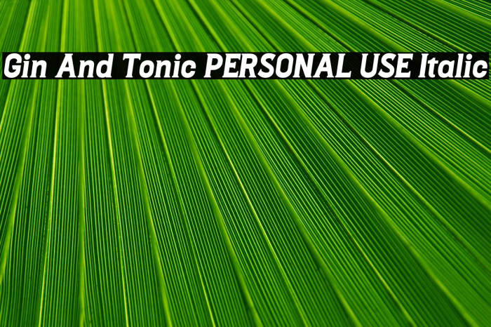 Gin And Tonic PERSONAL USE Italic Example 3